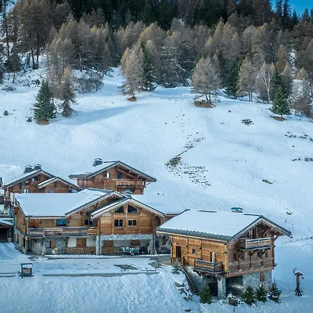 Luxueux 7 Avec Jacuzzi Et Sauna, Proche Telesiege - Fr-1-181-2793 Chalet La Plagne-Tarentaise